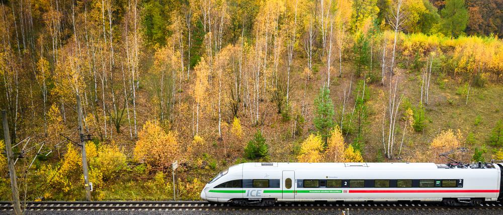 15.11.2023, Niedersachsen, Sorsum: Ein ICE der Deutschen Bahn DB fährt zwischen herbstlich verfärbten Laubbäumen. Die Gewerkschaft Deutscher Lokomotivführer (GDL) hat zu einem 20-stündigen Warnstreik bei der Deutschen Bahn AG aufgerufen. Foto: Steffen Oevermann/dpa +++ dpa-Bildfunk +++