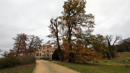 Bei einem Rundgang im Park Babelsberg wurden die Herausforderungen durch Dürre und Starkregen erläutert.