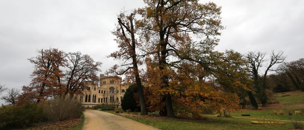 Bei einem Rundgang im Park Babelsberg wurden die Herausforderungen durch Dürre und Starkregen erläutert.