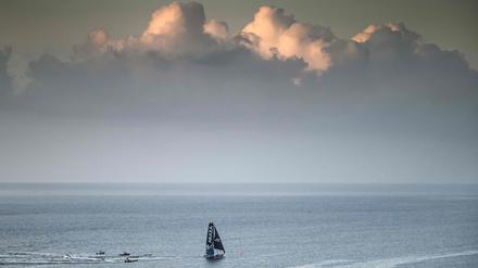 Ankunft in Martinique. Nach 12 Tagen erreichen die ersten sieben Yachten am Sonntag das Ziel. 