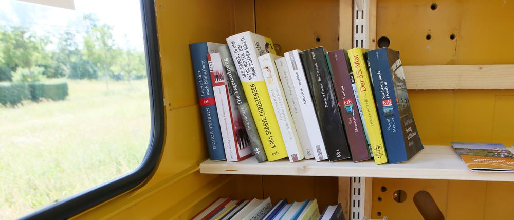 In Potsdam gibt es mehrere Bücherschränke zum kostenlosen Büchertausch - hier das Exemplar im Volkspark.