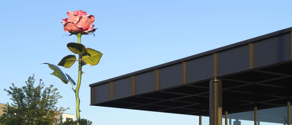 Isa Genzkens „Pink Rose“ vor der Neuen Nationalgalerie. 