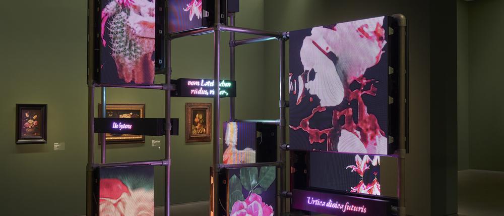 Installation „Power Plants“ der Künstlerin Hito Steyerl (2019).
