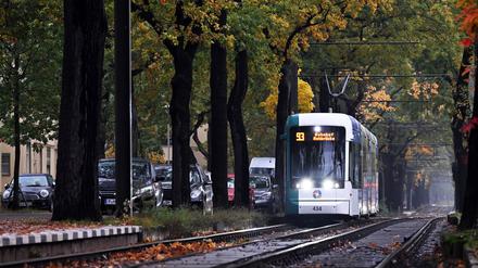 Straßenbahn in der Heinrich-Mann-Allee: Der Verkehrsbetrieb in Potsdam erhöht die Fahrpreise.