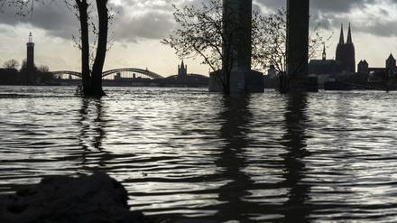 Hochwasser des Rheins in Köln.