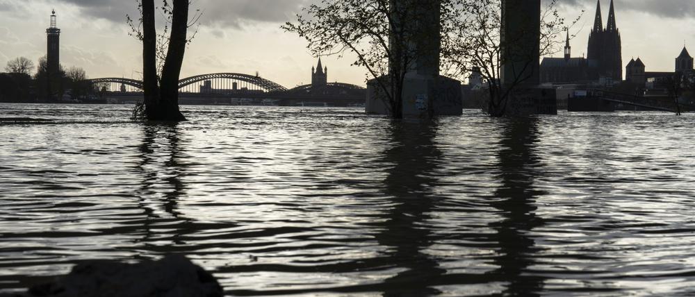 Hochwasser des Rheins in Köln.