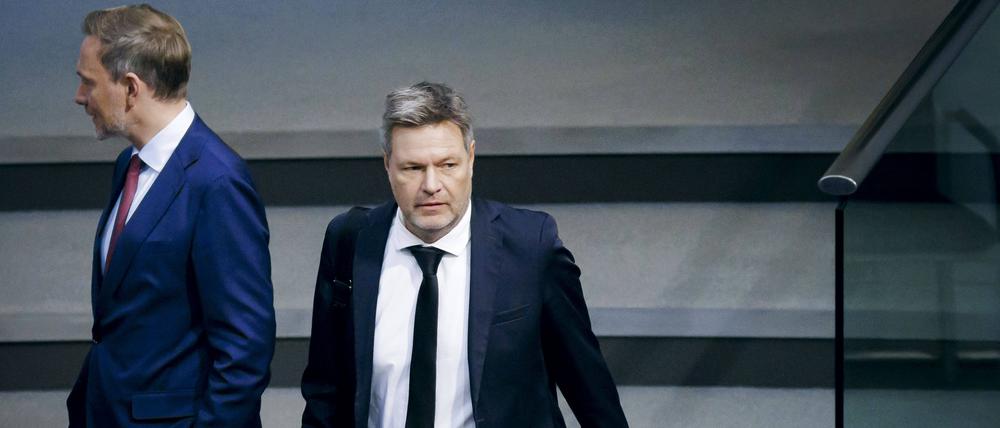 Bundeswirtschaftsminister Robert Habeck (Grüne)