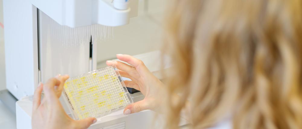 Die Geschlechterlücke bei den meistzitierten Wissenschaftlern weltweit wird einer neuen Studie zufolge kleiner.