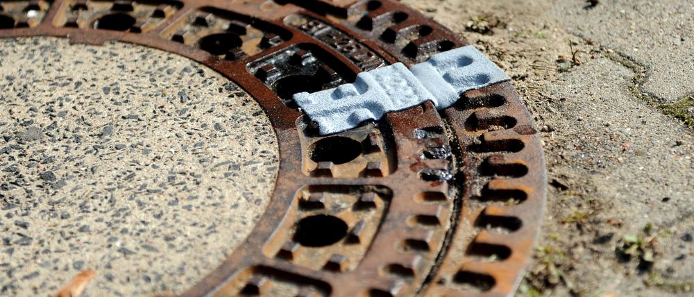 60 Prozent der Fläche des Bezirks Mitte sind versiegelt. Das soll sich ändern.