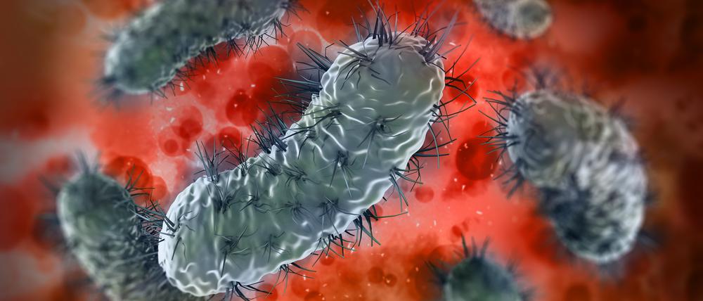 Bakterien erkennen: Das Analysetool von HyPhoX soll dies auf Basis eines patentierten photonischen Biosensors in wenigen Minuten können.