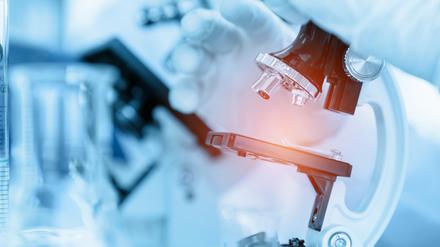 Eines haben die Innovationspreis-Sieger gemeinsam: Sie bieten Lösungen für aktuelle Herausforderungen.