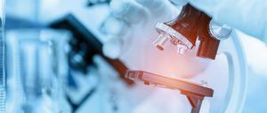 Eines haben die Innovationspreis-Sieger gemeinsam: Sie bieten Lösungen für aktuelle Herausforderungen.