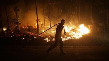 Ein Waldbrand in Spanien im Oktober 2023. 