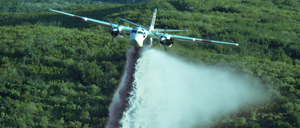 Mit solchen Flugzeugen, die einen Wald besprühen, könnte Gesteinsmehl in Ökosysteme eingebracht werden.
