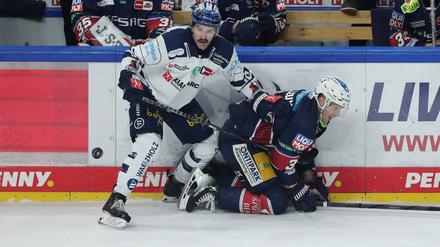 Sinnbild der vergangenen Spiele: Die Eisbären (hier Yannick Veilleux), der Gegner obenauf