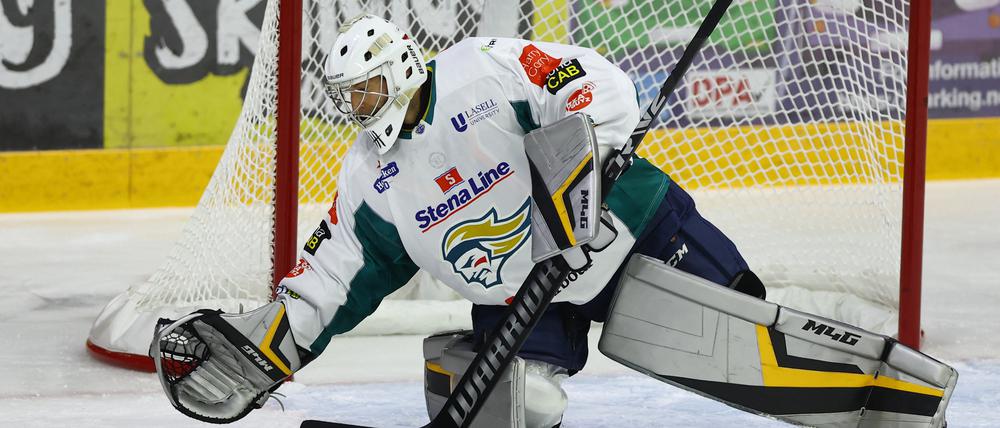 Ein Mann mit vielen Talenten. Petr Čech im Einsatz für die Belfast Giants.