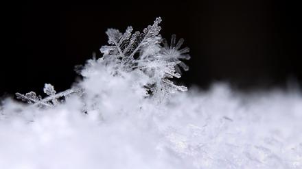Ein Eiskristall