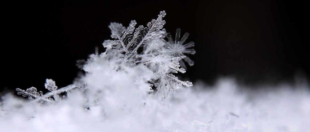Ein Eiskristall