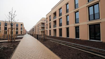 Das neue Pro-Potsdam-Stadtquartier an der Heinrich-Mann-Allee.