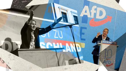 AfD.jpg