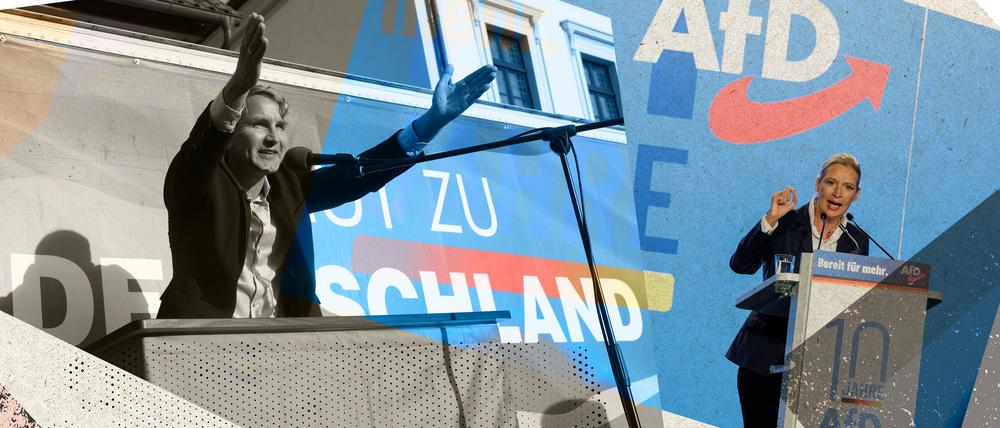 AfD.jpg