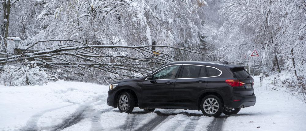 Schneechaos in Deutschland: Ein umgestürzter Baum blockiert die Bundesstraße L3008 Richtung Taunus-Feldberg.