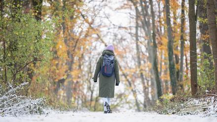 Eine Frau geht durch den Volkspark Rehberge.