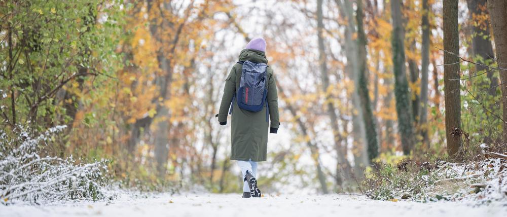 Eine Frau geht durch den Volkspark Rehberge.