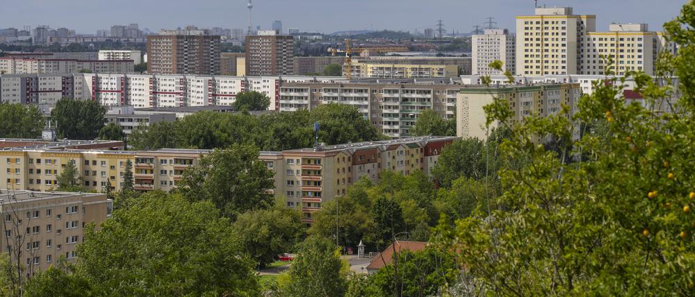 In Marzahn-Hellersdorf hat sich in dem sogenannten „III. Weg“ eine besonders aktive Neonazi-Organisation breitgemacht.