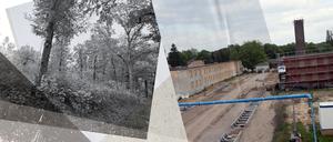 klimapotsdam2.jpg