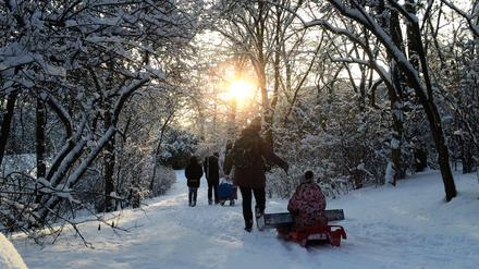 Passanten ziehen ihre Kinder auf Schlitten durch den im Volkspark Wilmersdorf in Berlin.