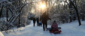 Passanten ziehen ihre Kinder auf Schlitten durch den im Volkspark Wilmersdorf in Berlin.
