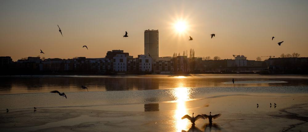 Vögel kreisen im Sonnenuntergang über der winterlichen Spree in der Rummelsburger Bucht in Berlin. (Archivbild)