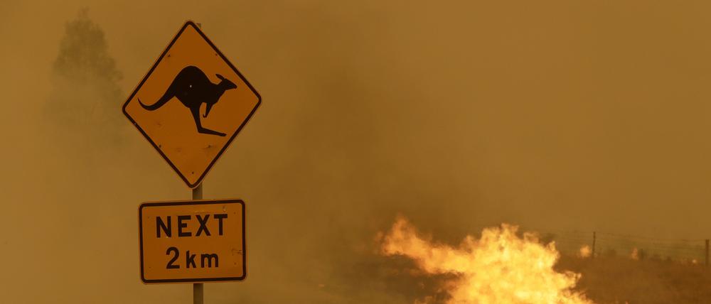 Feuer brennt im Gras in der Nähe von Bumbalong, südlich der australischen Hauptstadt Canberra (Archivbild).