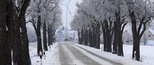 Verschneite Allee in Brandenburg.