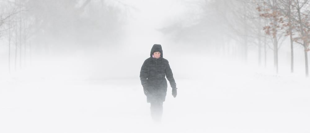 Eine Person geht bei starkem Wind und Schneeböen am 24.12.2022 durch die Central Experimental Farm in Ottawa.
