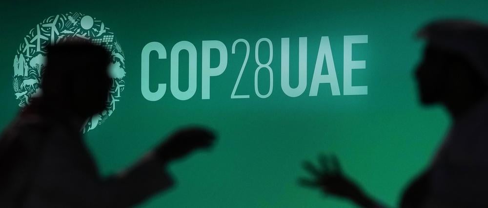 29.11.2023, Vereinigte Arabische Emirate, Dubai: Zwei Menschen unterhalten sich vor einem Logo des UN-Klimagipfels COP28. Bei dem COP28-Treffen wollen mehr als 190 Länder ab Donnerstag am Persischen Golf die erste große Bestandsaufnahme der Umsetzung der Pariser Klimakonferenz 2015 erstellen. Foto: Rafiq Maqbool/AP +++ dpa-Bildfunk +++