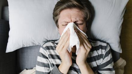 Neben dem Coronavirus gibt es für diese Zeit ungewöhnlich viele Rhinovirusinfektionen (Erkältungen) sowie zunehmend RSV- und Grippefälle.