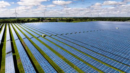 Solarmodule stehen in Reihen in einem Solarkraftwerk. 