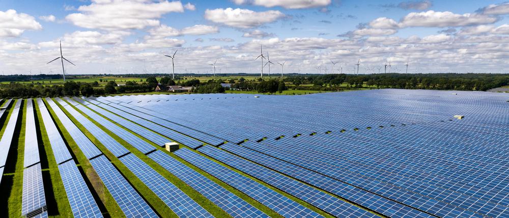 Solarmodule stehen in Reihen in einem Solarkraftwerk. 
