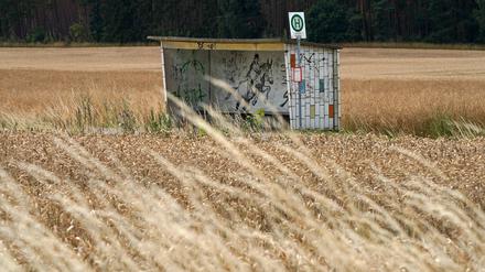 Der öffentliche Nahverkehr ist im ländlichen Raum oft sagenhaft schlecht ausgebaut. 