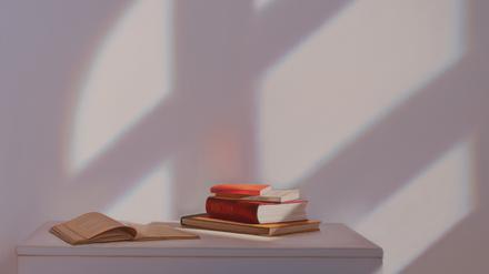 Edite Grinberga: „Stilleben mit Büchern“ (2023)