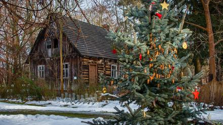 Weihnachten im Spreewald