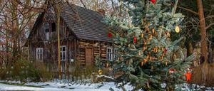 Weihnachten im Spreewald