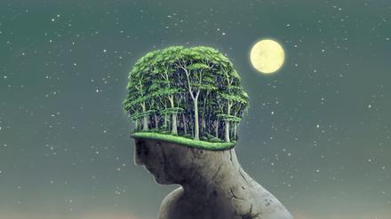 Surreal art, forest on human head sculpture, night of nature, fantasy landscape painting, dream concept, digital artwork illustration, imagination