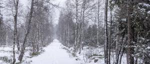 Fußspuren im Schnee. (Symbolfoto)