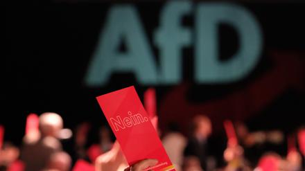 Delegierte halten beim Europawahltreffen der Alternative für Deutschland Karten mit der Aufschrift „Nein“ hoch (Symbolbild). 