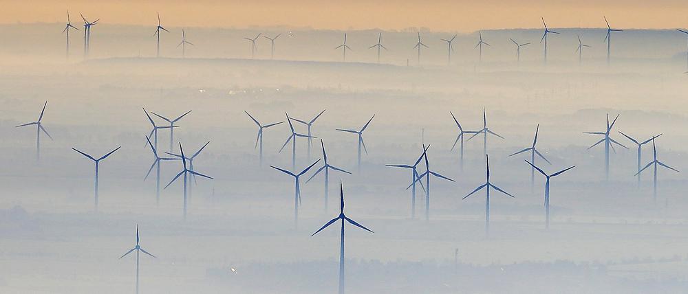 Windkraftanlagen ragen bei guter Fernsicht aus Nebel bei Petersberg (Sachsen-Anhalt) hinaus.  