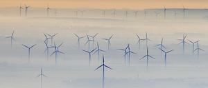 Windkraftanlagen ragen bei guter Fernsicht aus Nebel bei Petersberg (Sachsen-Anhalt) hinaus.  