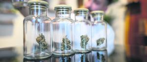 Die CBD-Blüten liegen unter der Grenze von 0,2 Prozent THC.